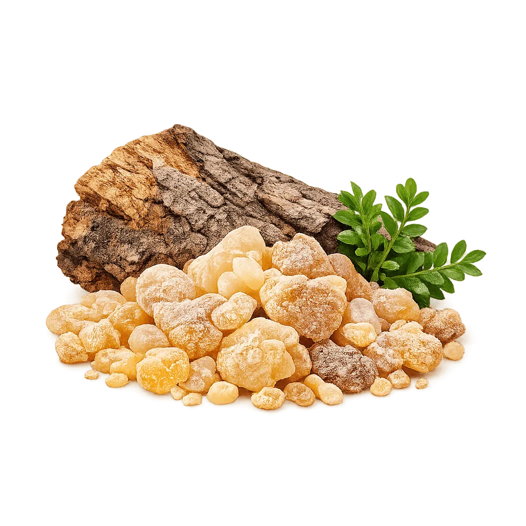 Sumber Boswellia Active